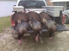 3 Gobblers 2.jpg