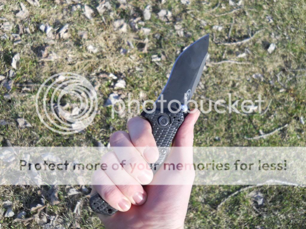 ZTreview003_zps22dda489.jpg