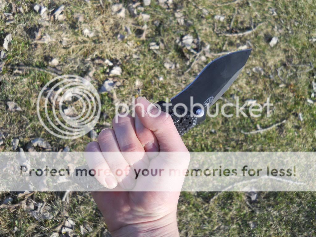 ZTreview004_zpsc4207767.jpg