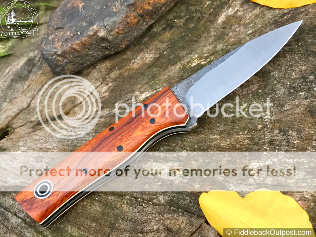 Fiddleback_Forge_Bear_Cub_-_Desert_Ironwood_-_12_1024x1024.png~original